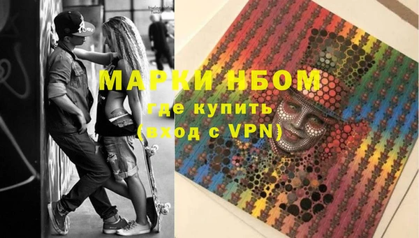 шишки Баксан